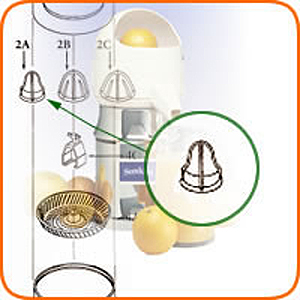 Commercial Juicer Extracting Bulb